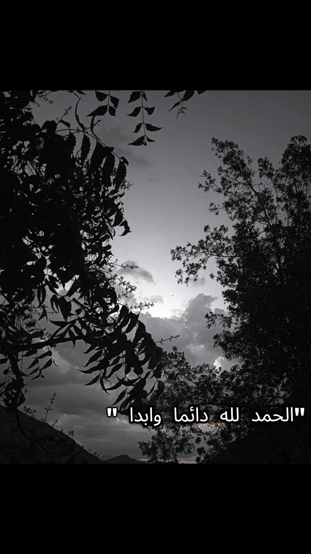@صالحه القحطاني 🪄