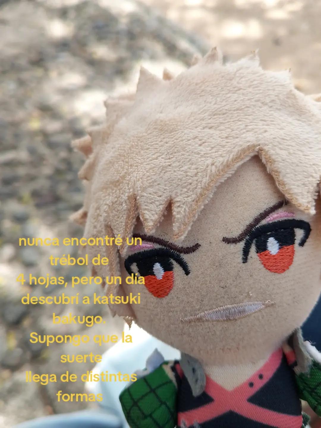 @kacchan.web