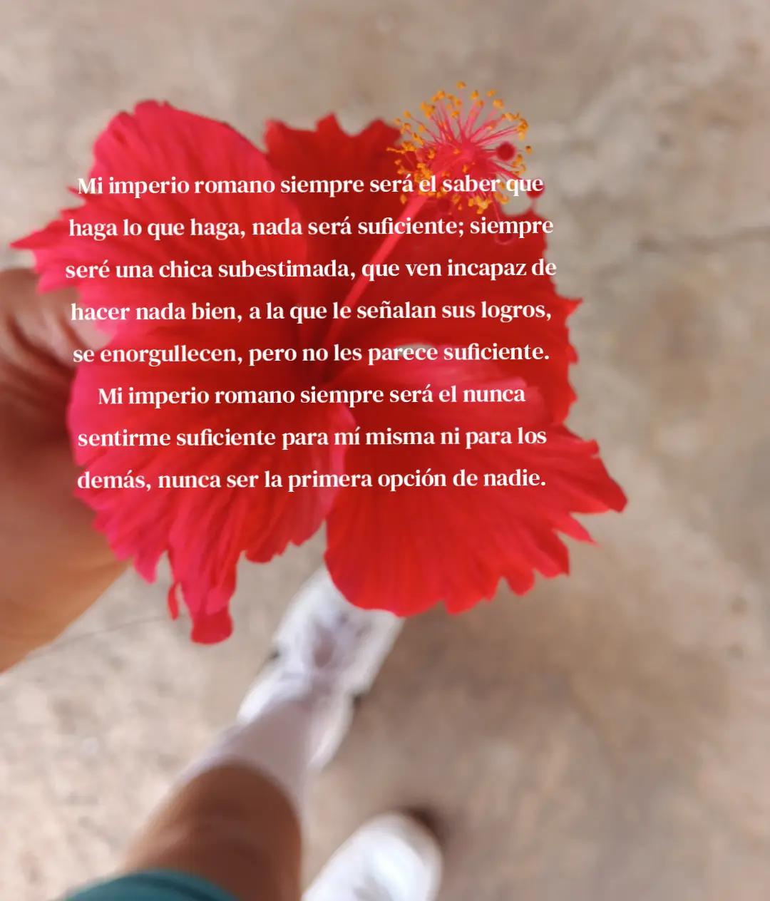 @Juliet📚🦋🏎️