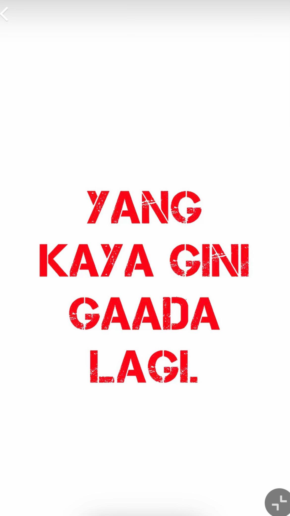 @HYPOPHRENIA🪾