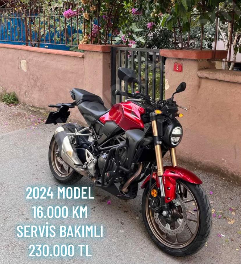 @Egemen (OFLU)