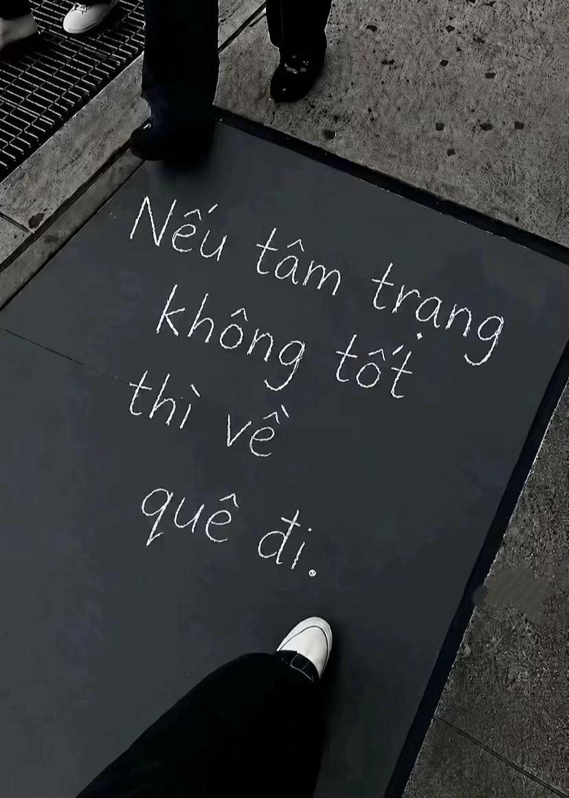 @🦭