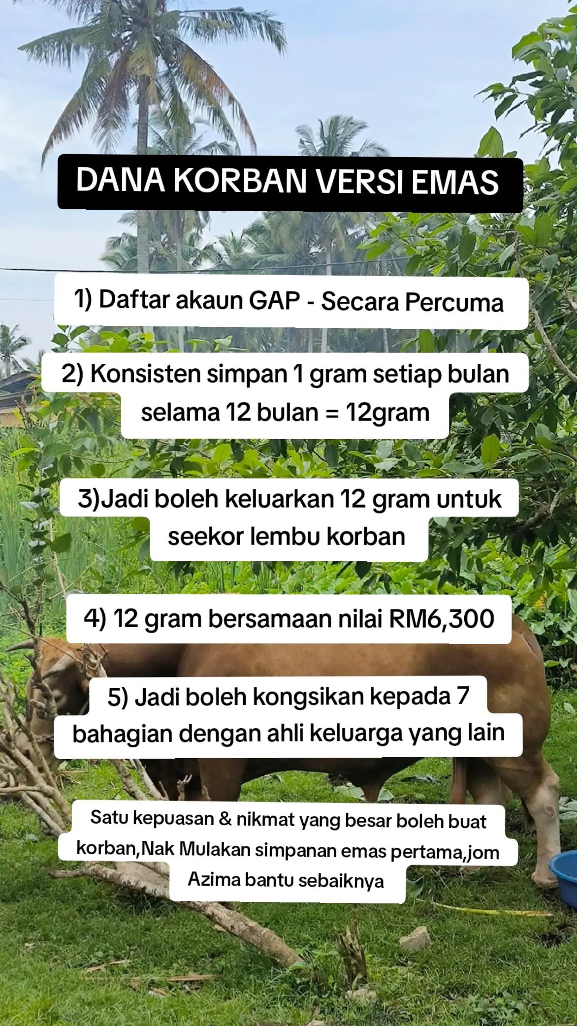 @Azima | Public Gold