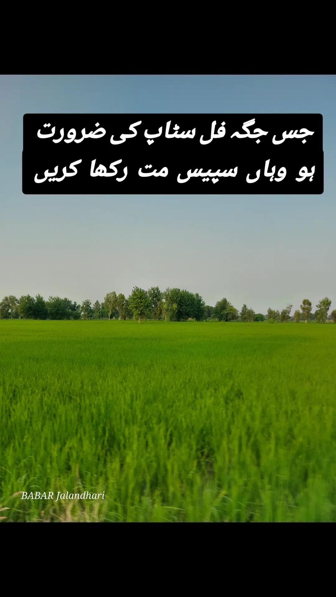 @Babar Jalandhari ਬਾਬਰ ਜਲੰਧਰੀ
