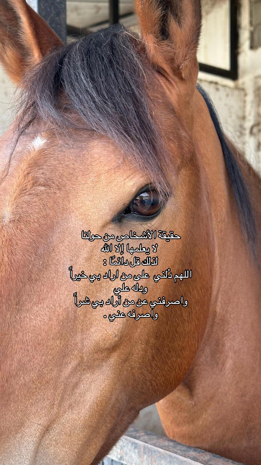@إكرام ❤️