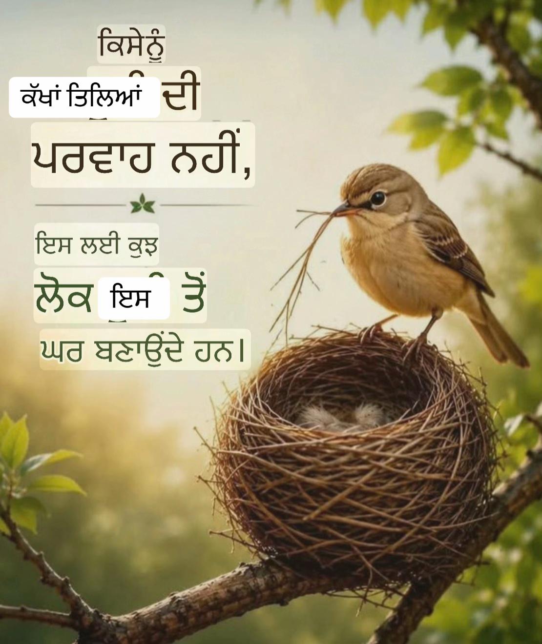 @sandhu07