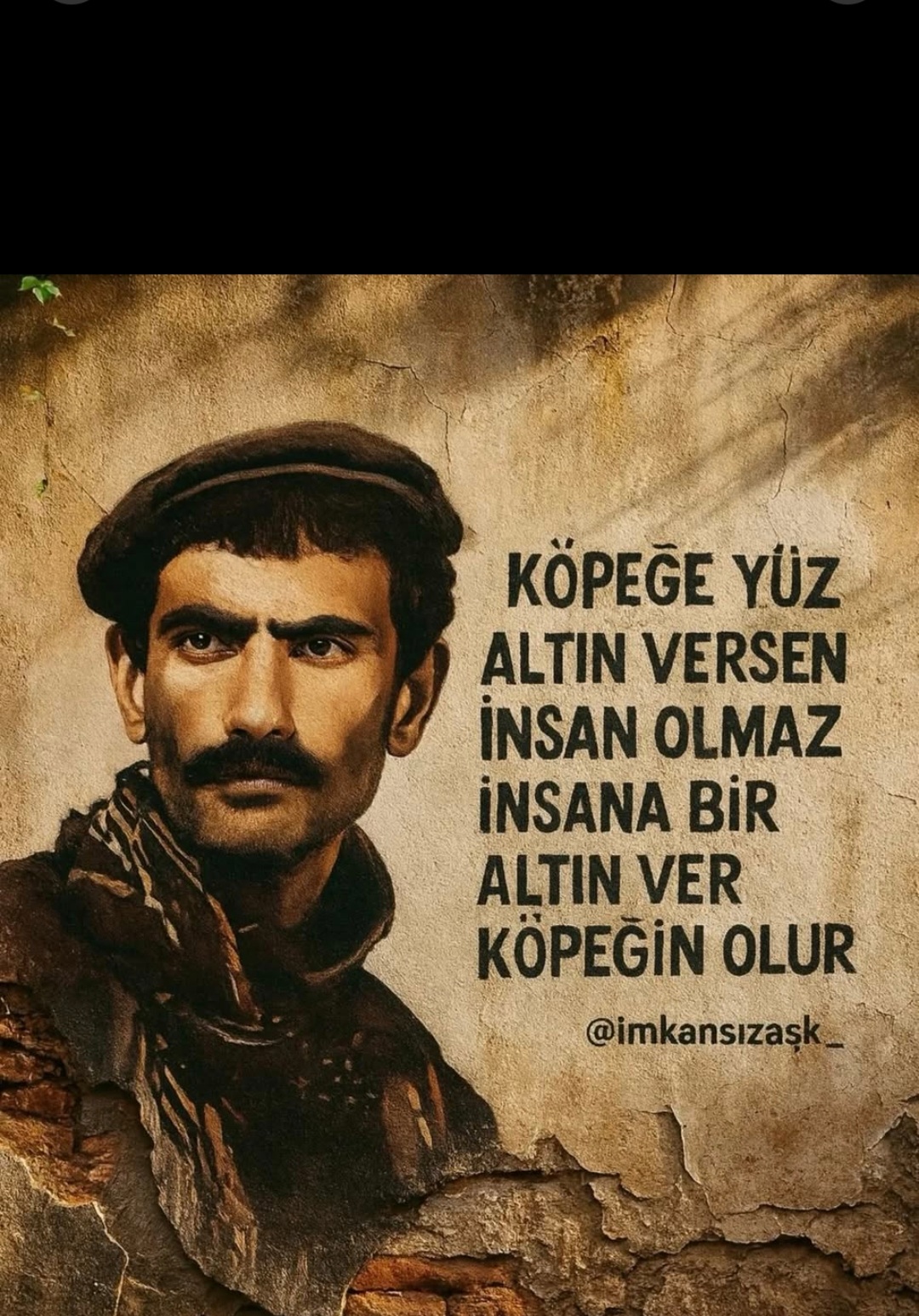 @zeycanakkusyildi3