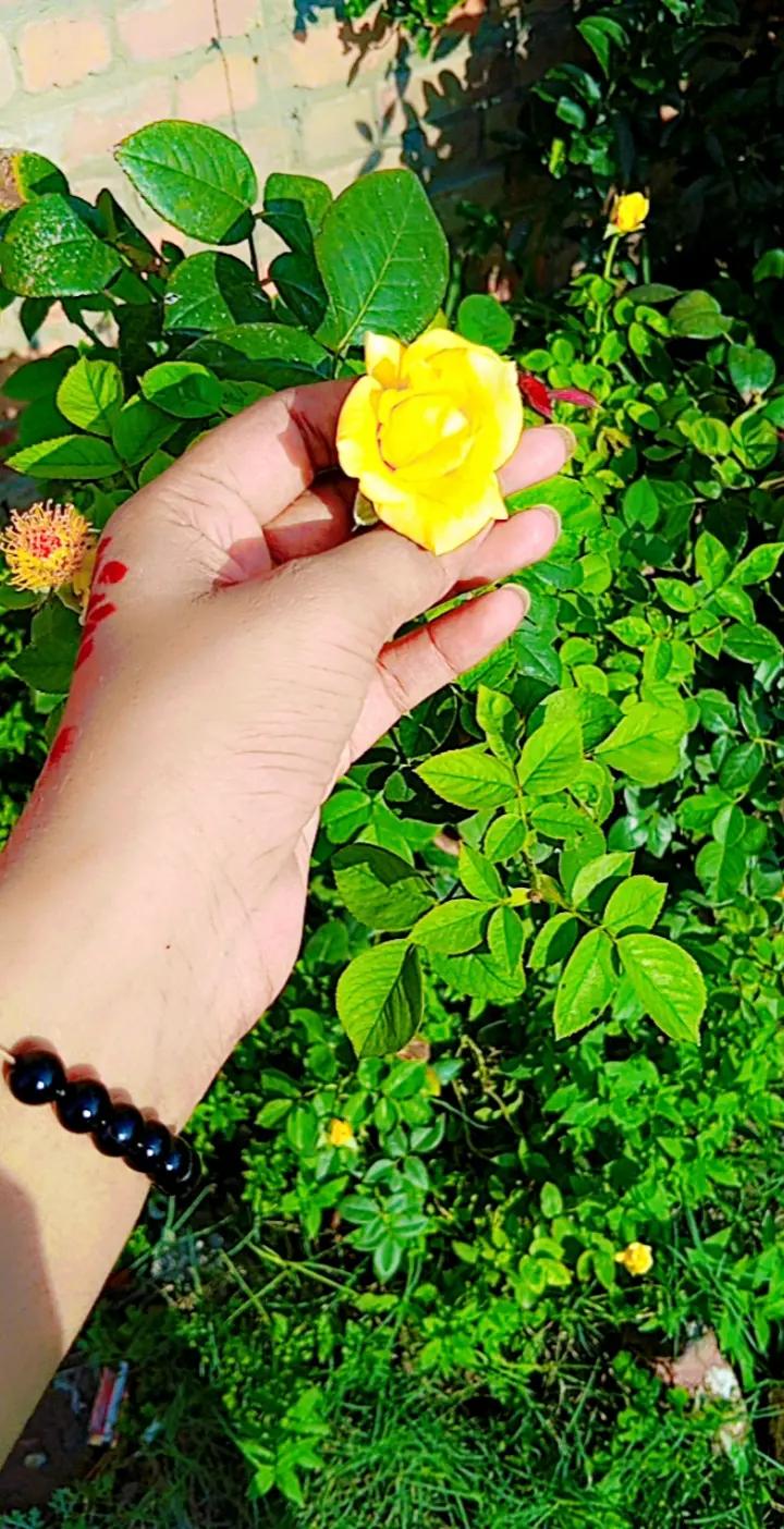 @@🍂zidi rajpoot🍁🍁