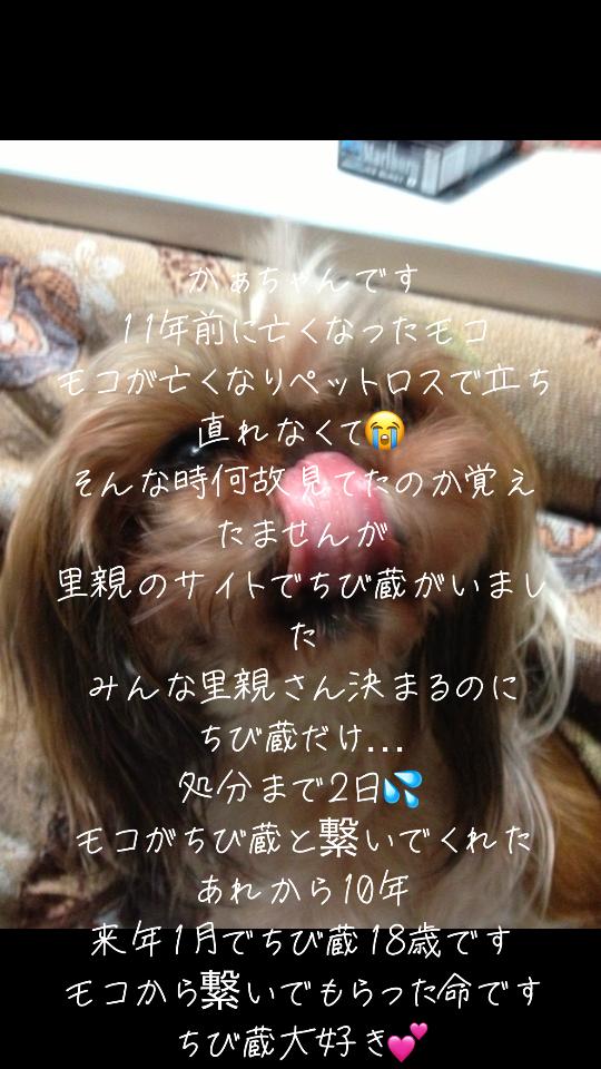@ビビまるトンチャー