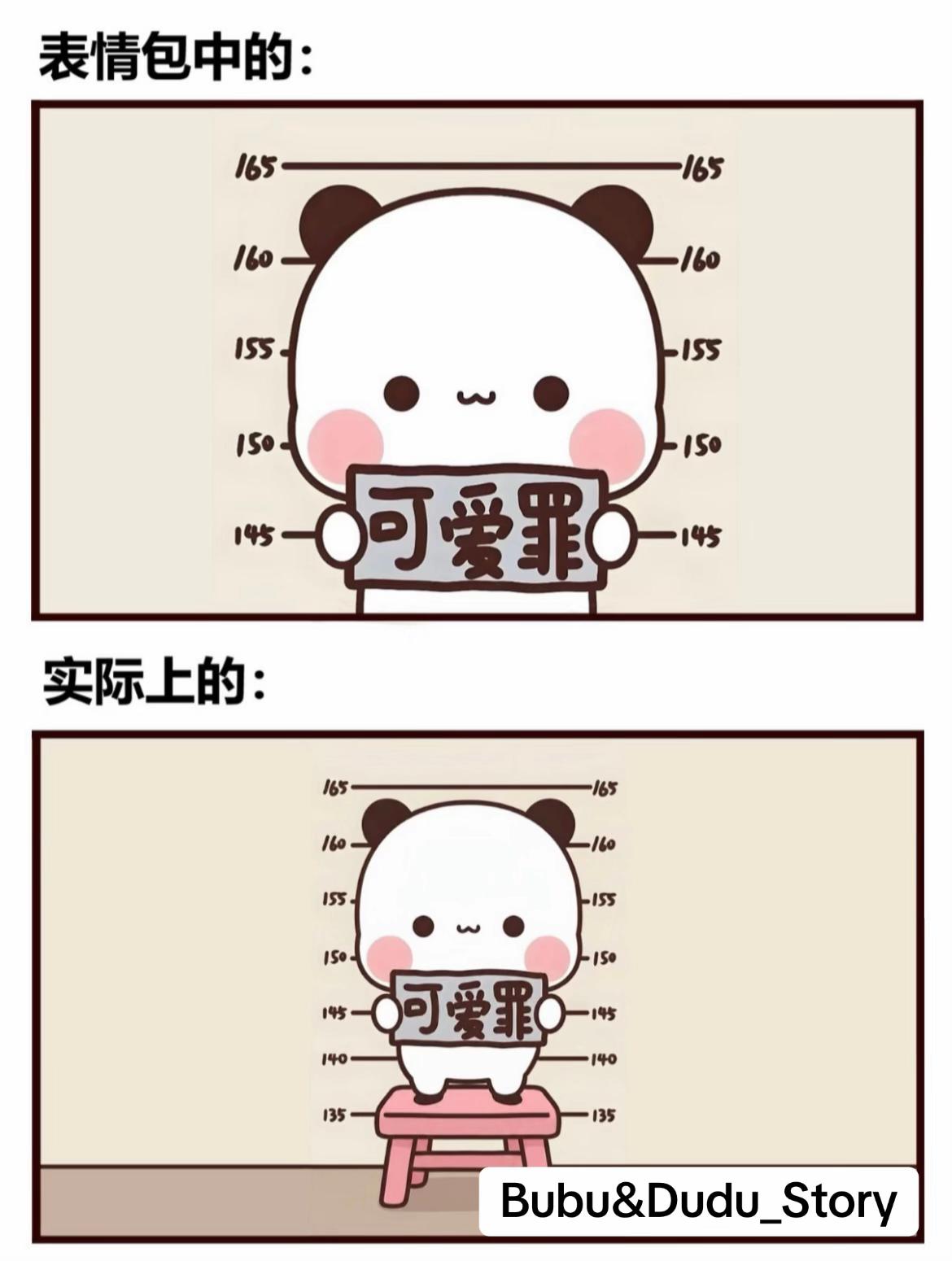 @bubu&dudu_story