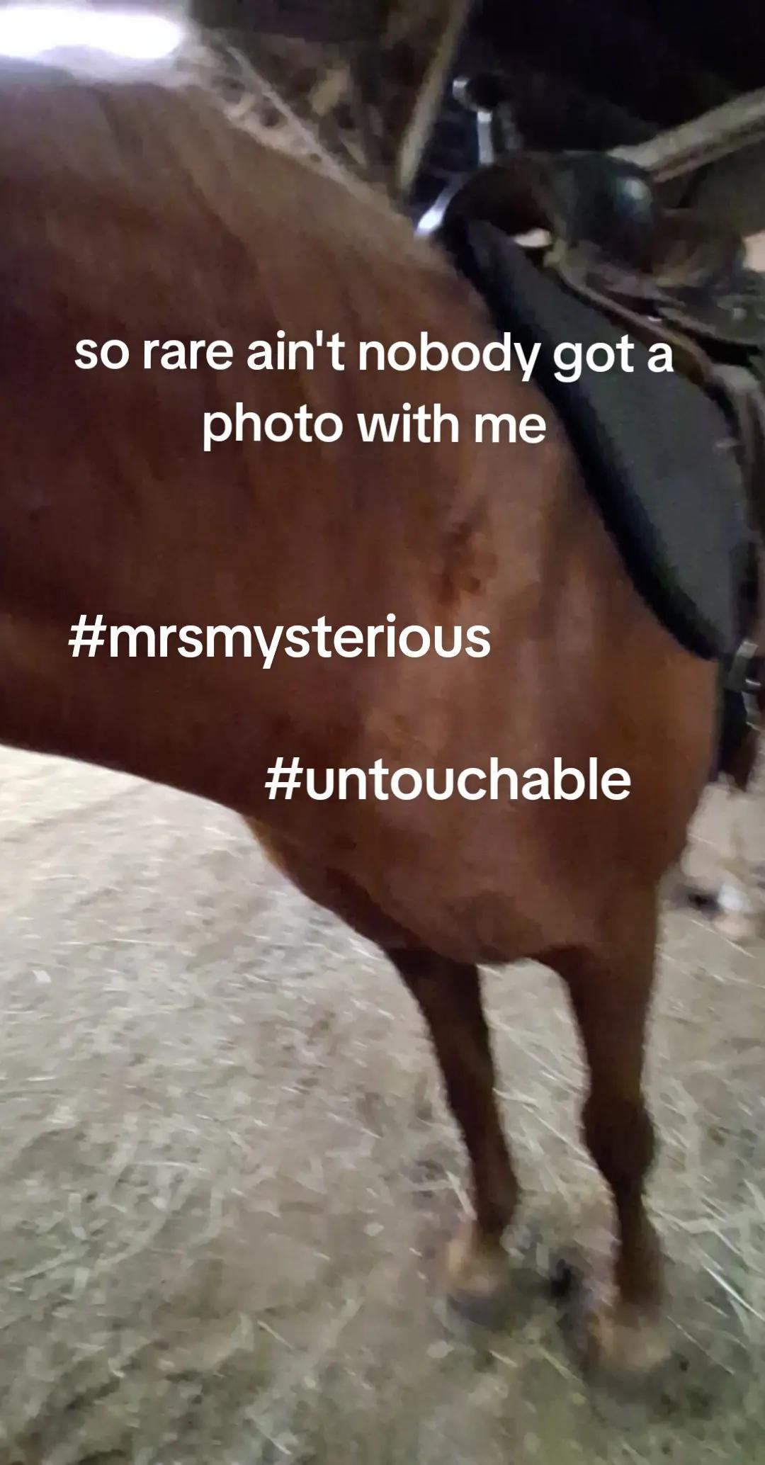 @🦄