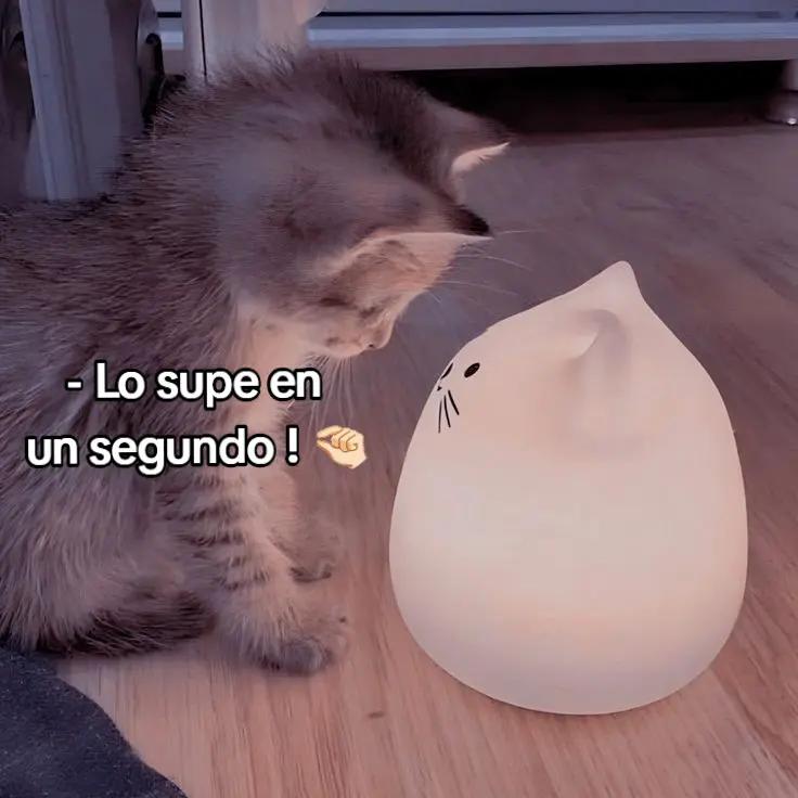 @⊹♡ᵎ . 𝐸𝑙𝑖𝑧𝑎. 🐇 ˖୨୧ ⋆*