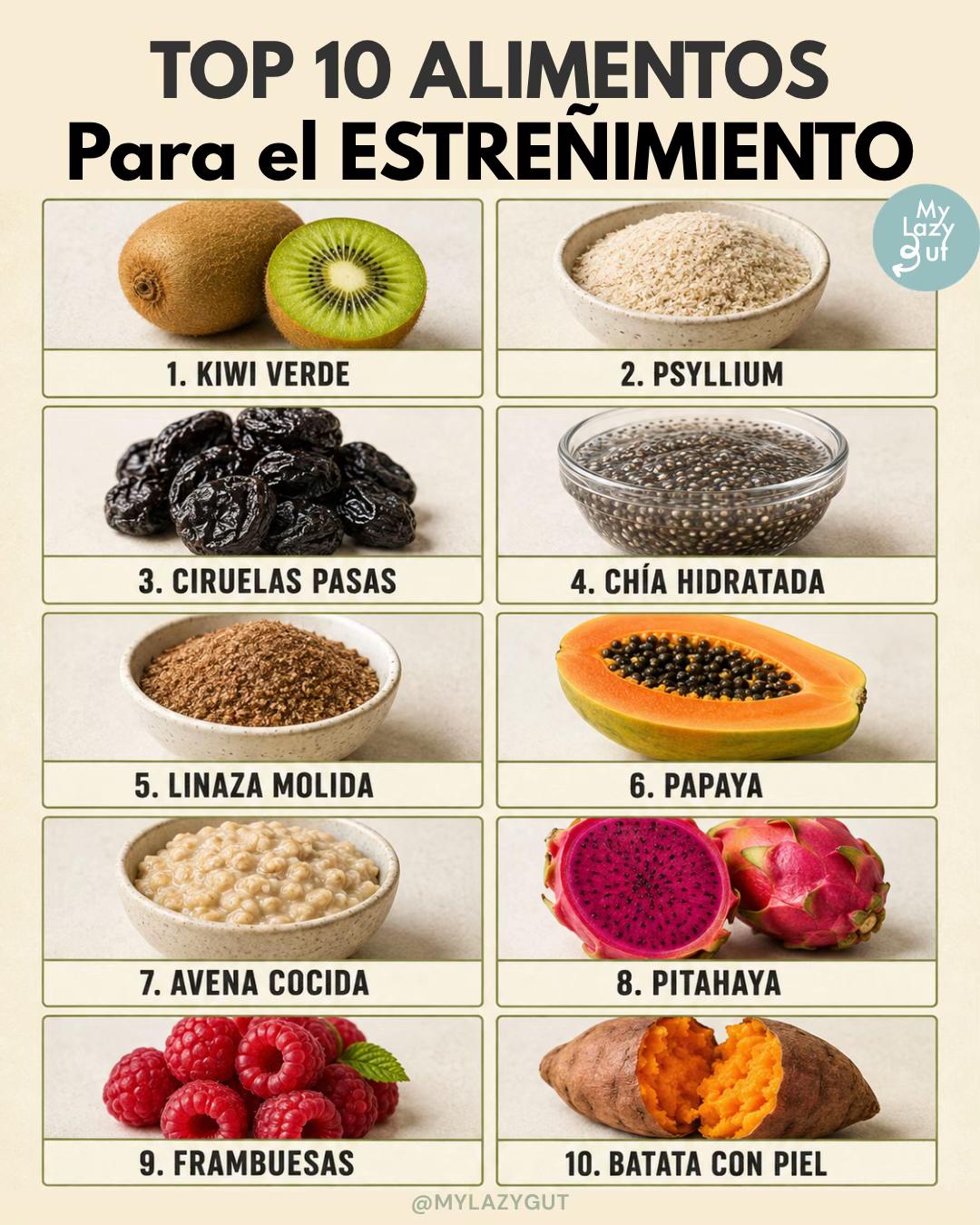 @Mylazygut/Digestión Saludable