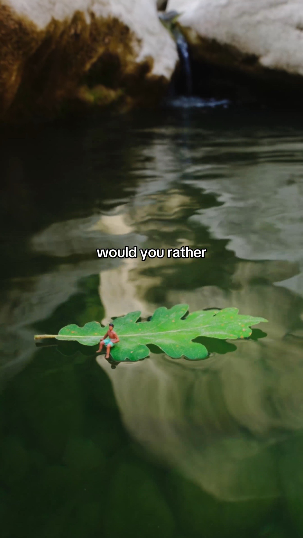 @Erin Sullivan
