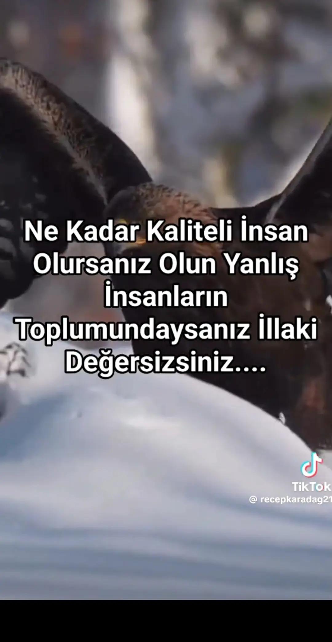 @gamze