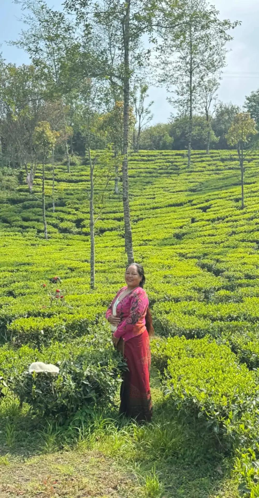 @maya