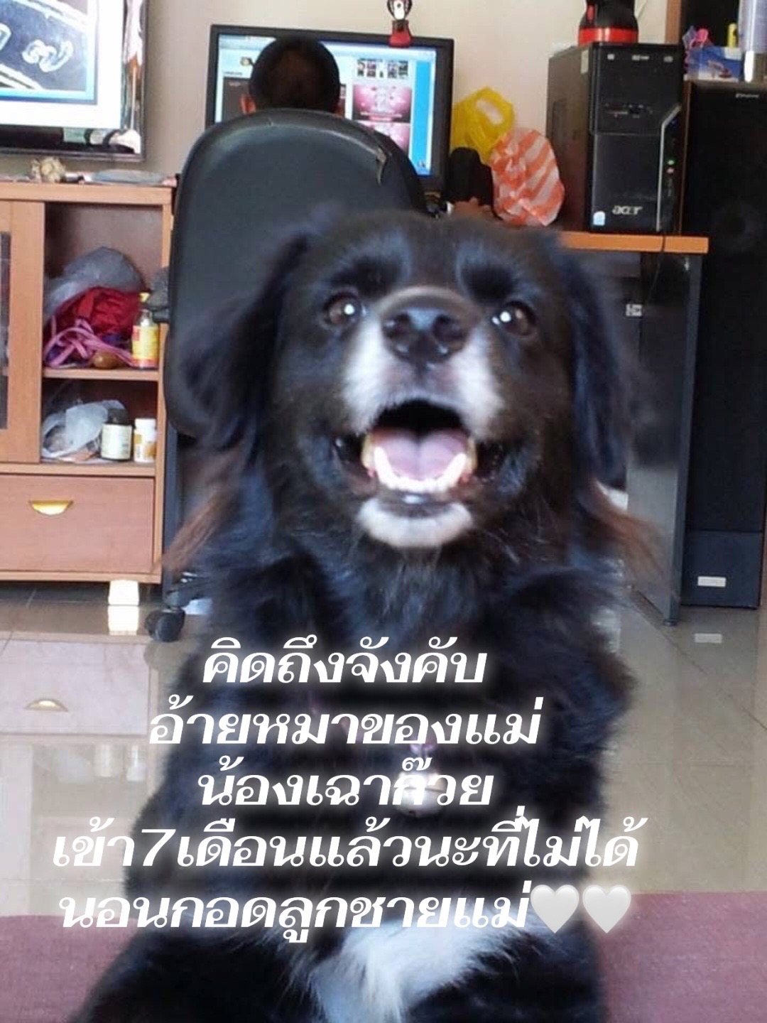 @daraneerungrueang