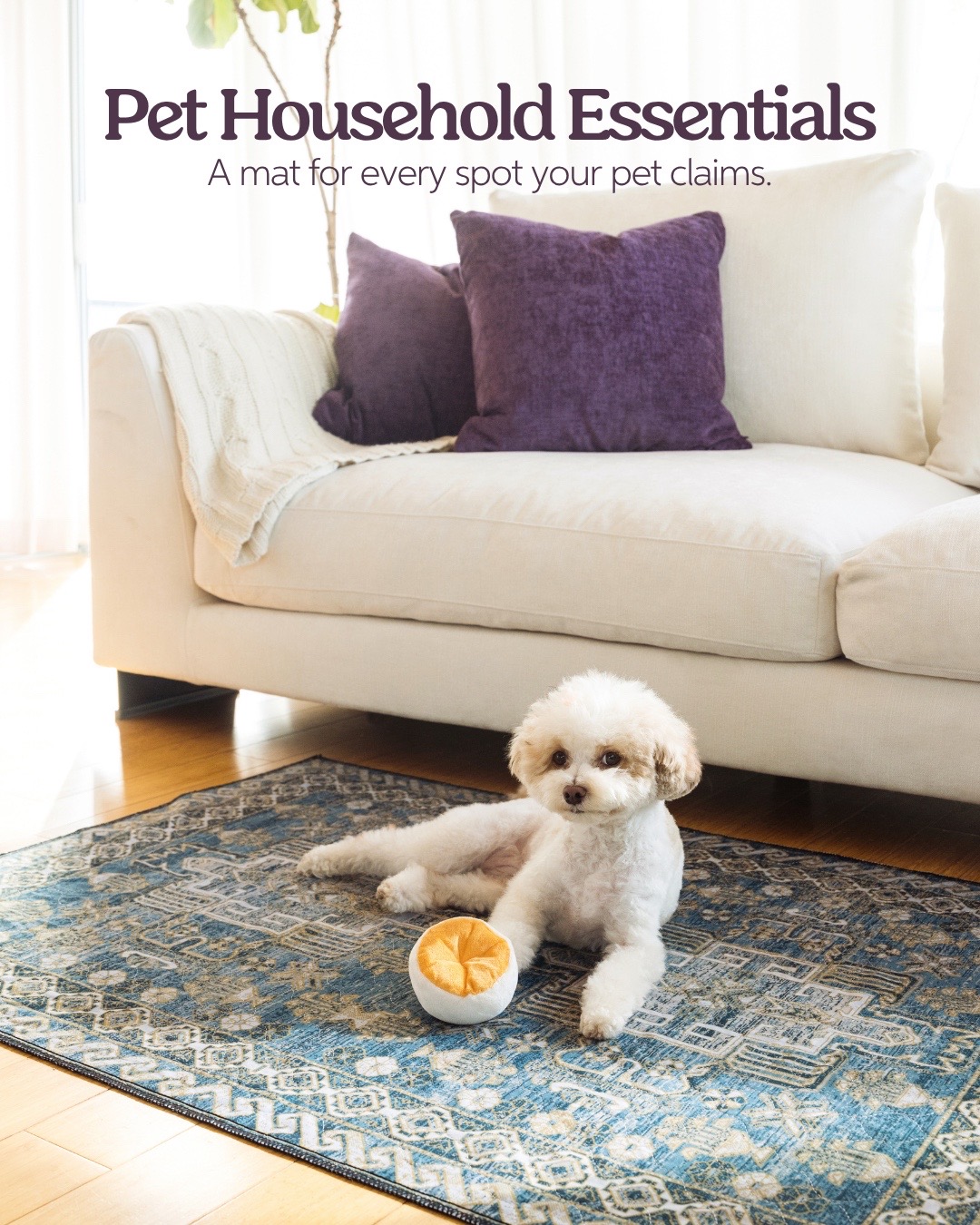 @Lovewag Pets