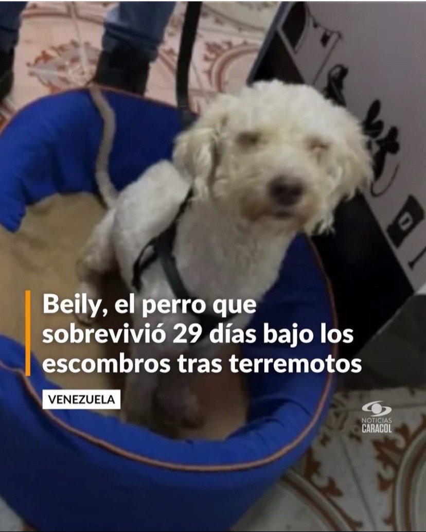 @Nora