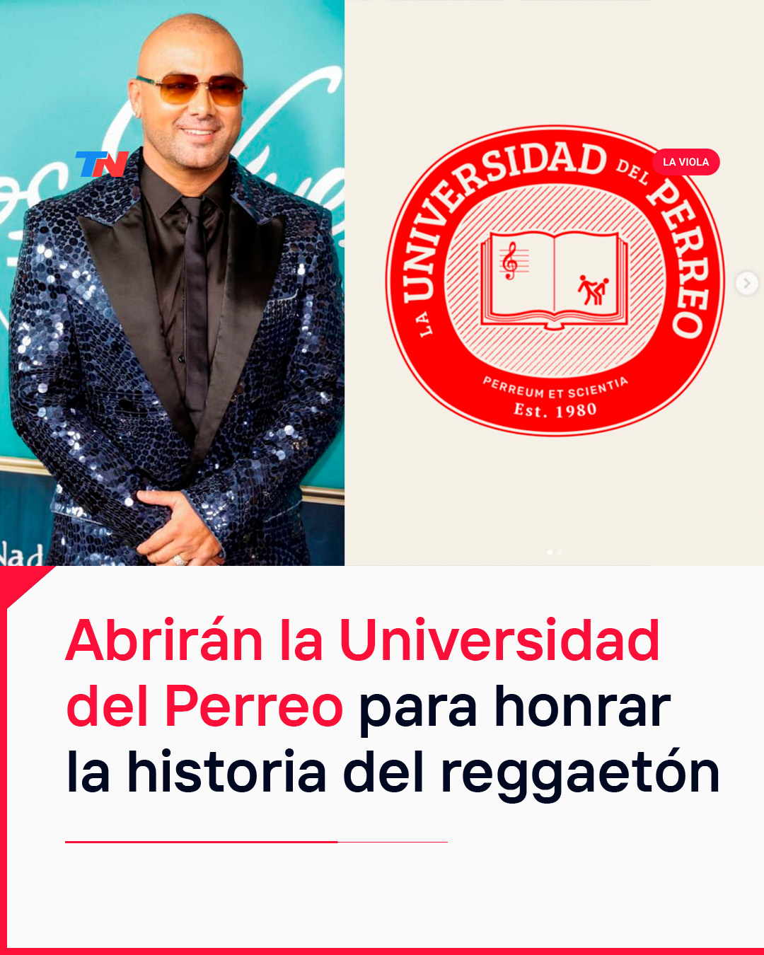 @TN - Todo Noticias