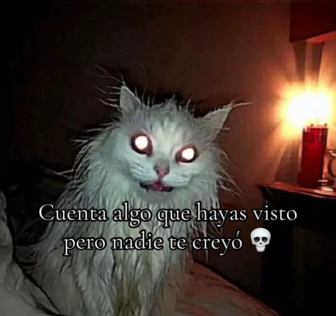 @Bloodypunk🦇