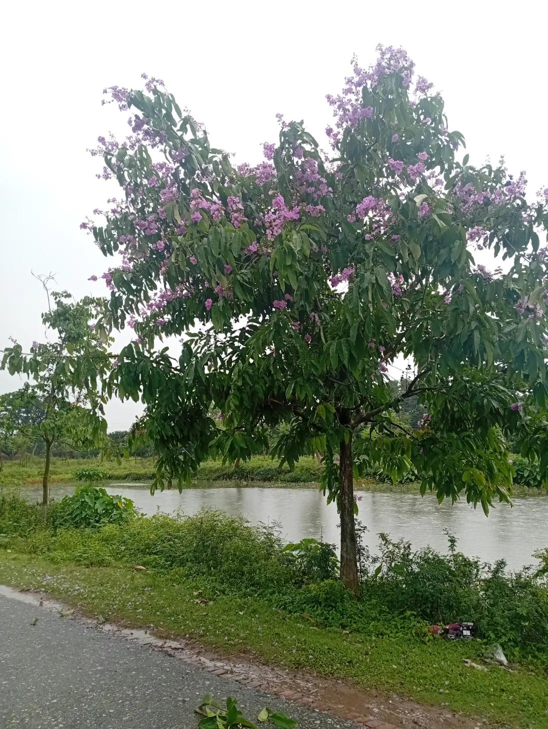 @Md johurul islam