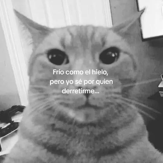 @W⊕LFX
