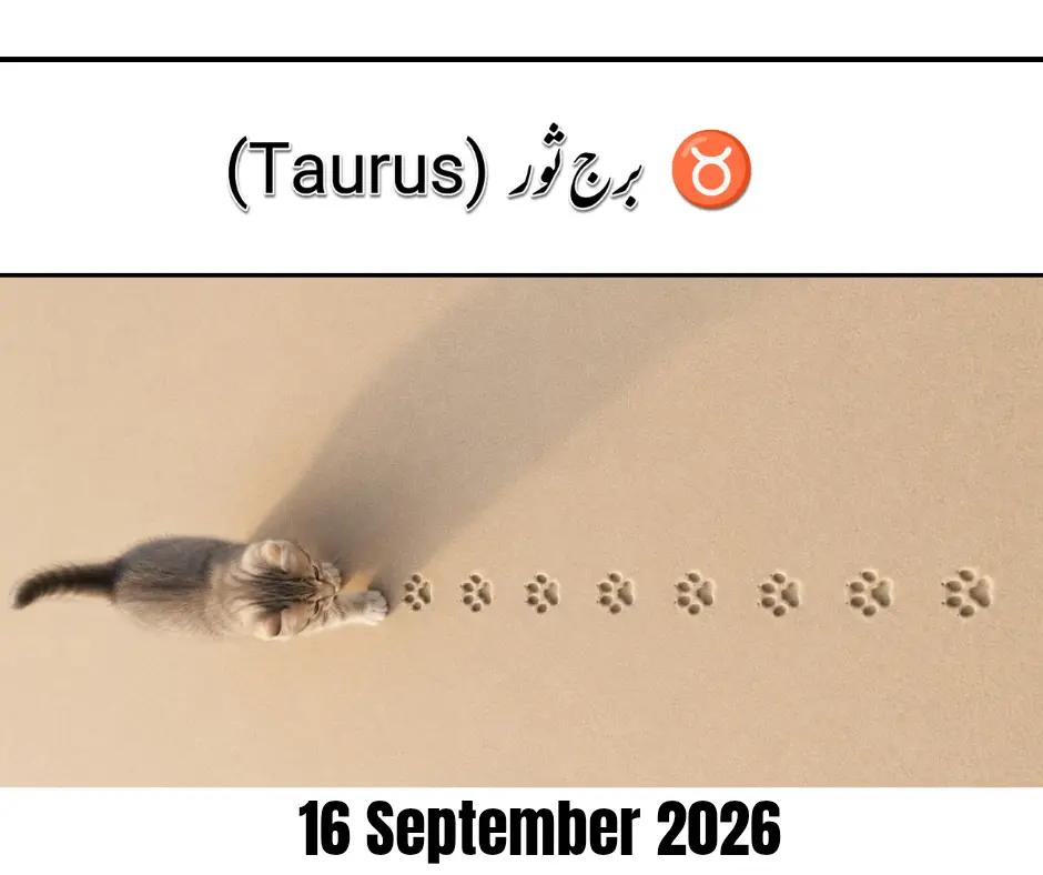 @Dream & Mystery | Horoscope