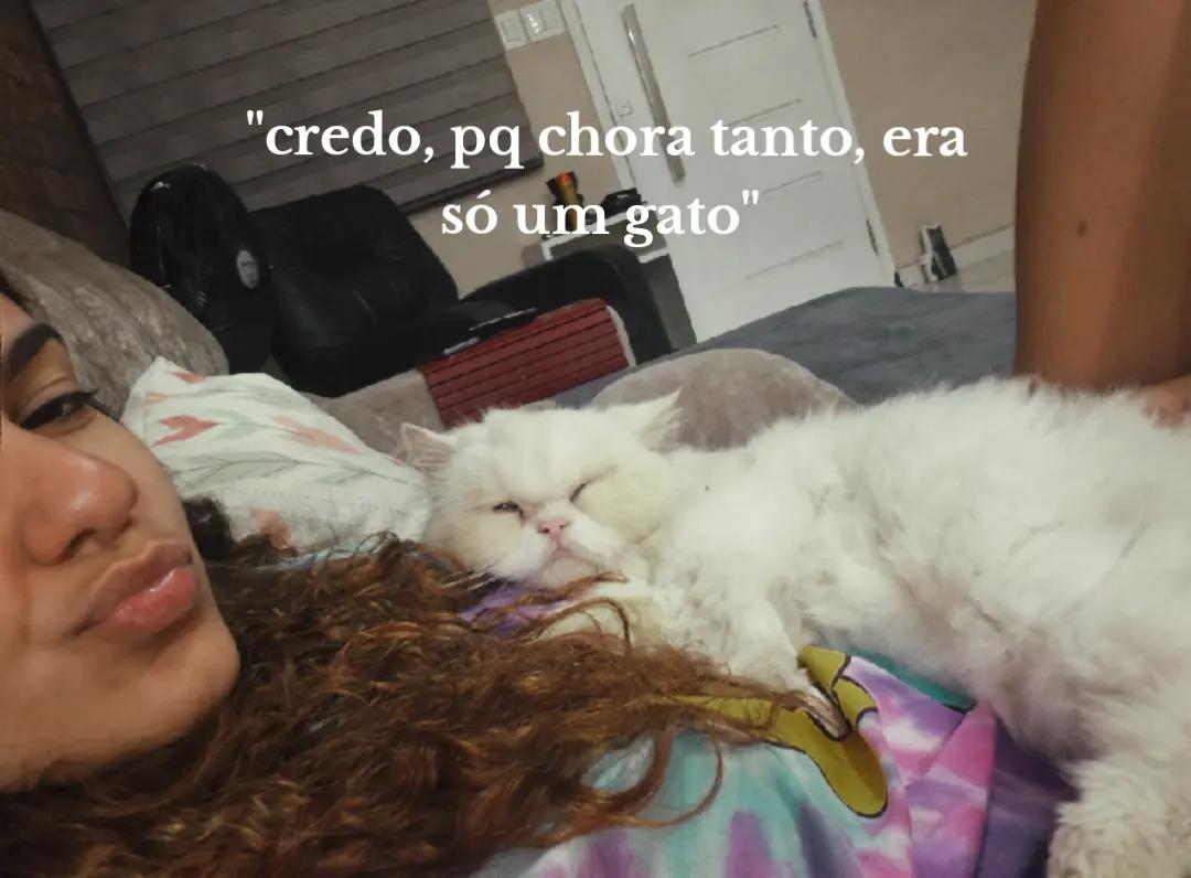 @Toli