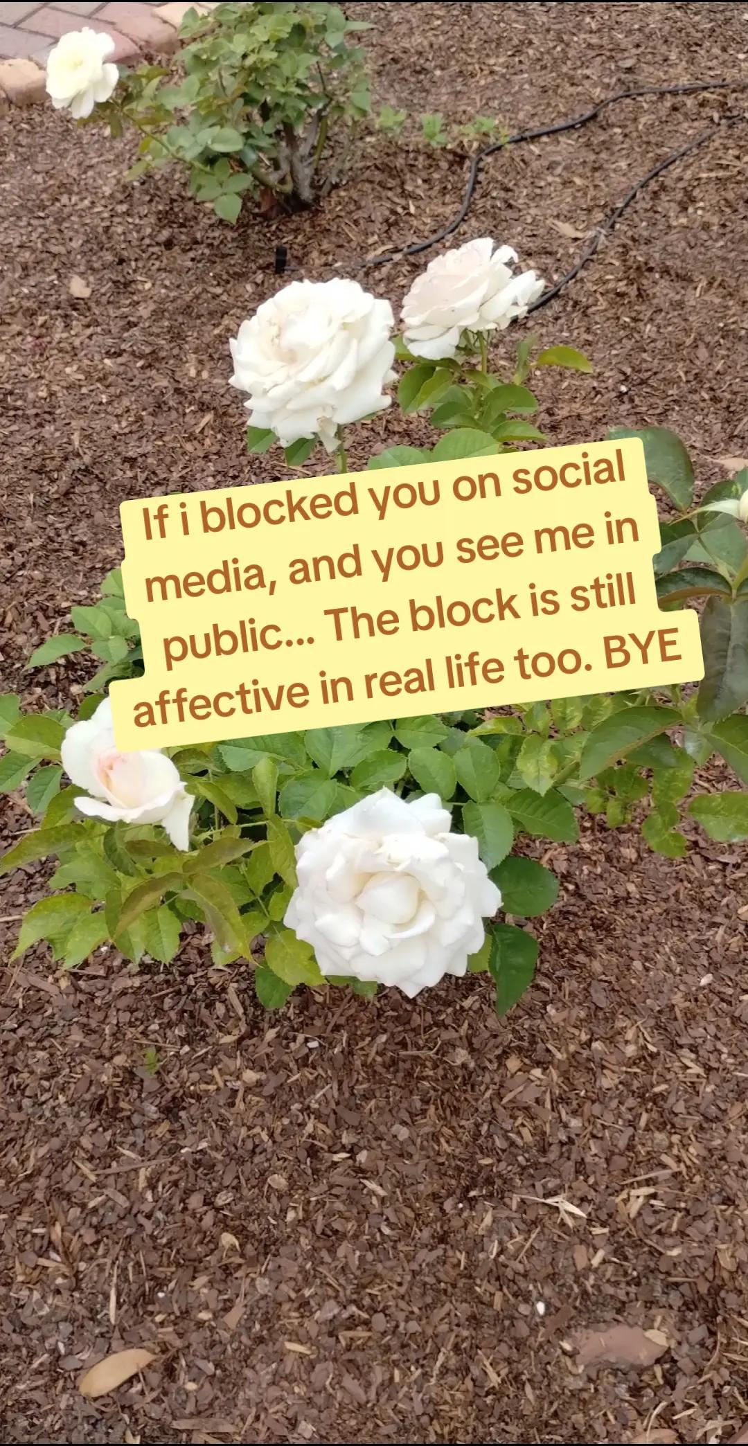 @Momma.before.anything