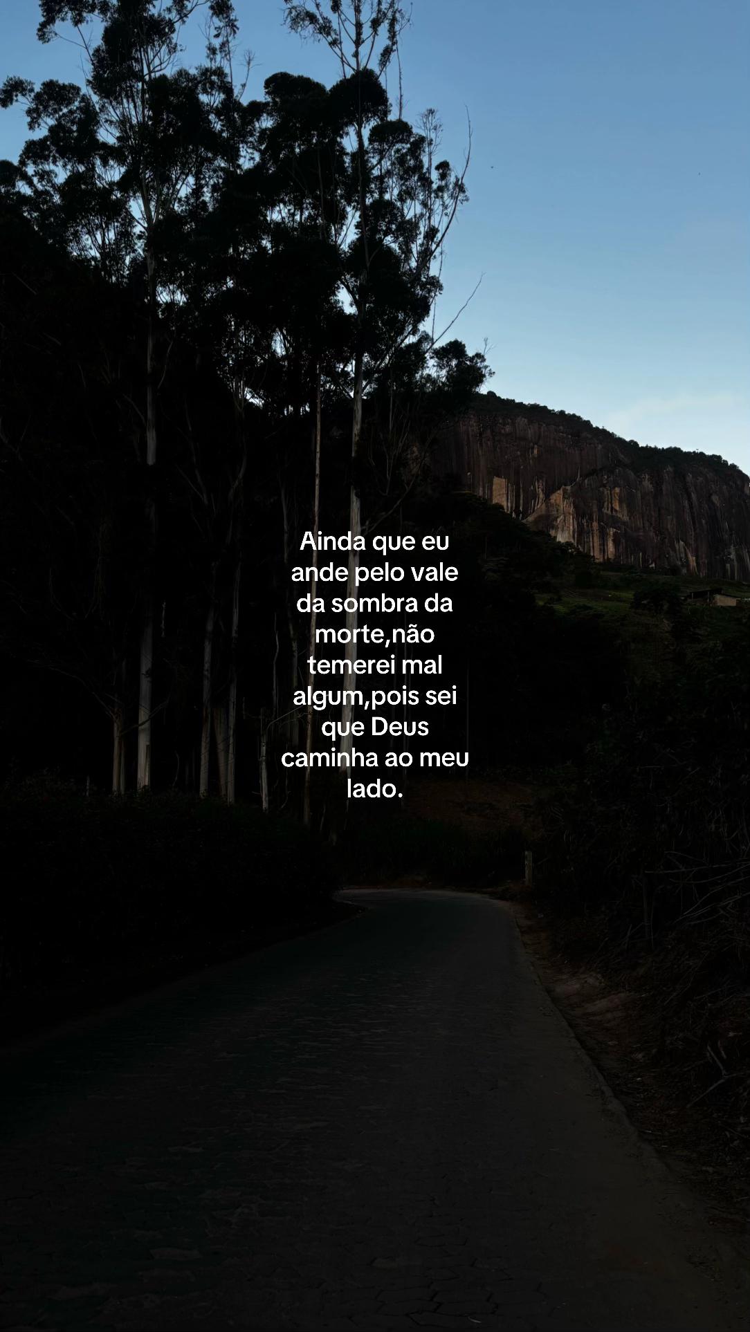 @aurorinha