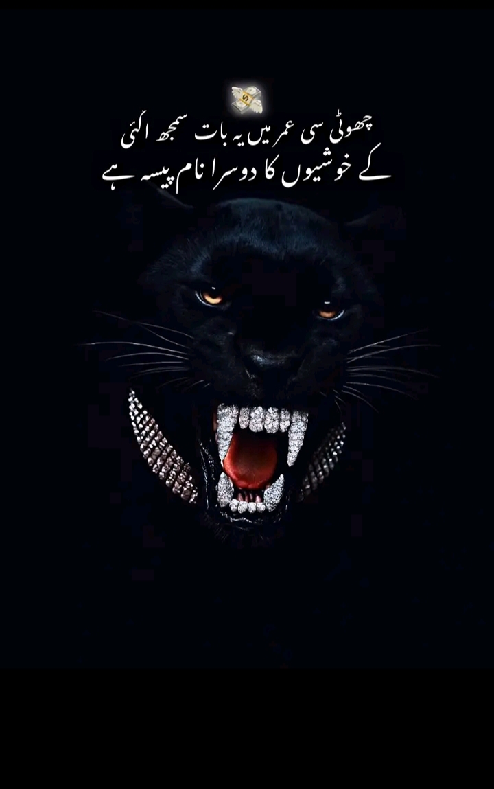 @✨رائے ابوبکر کھرل 🥰🫂