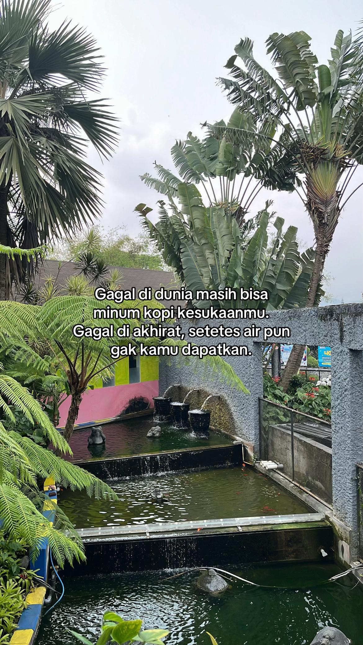 @naa⋆.˚ʚଓ