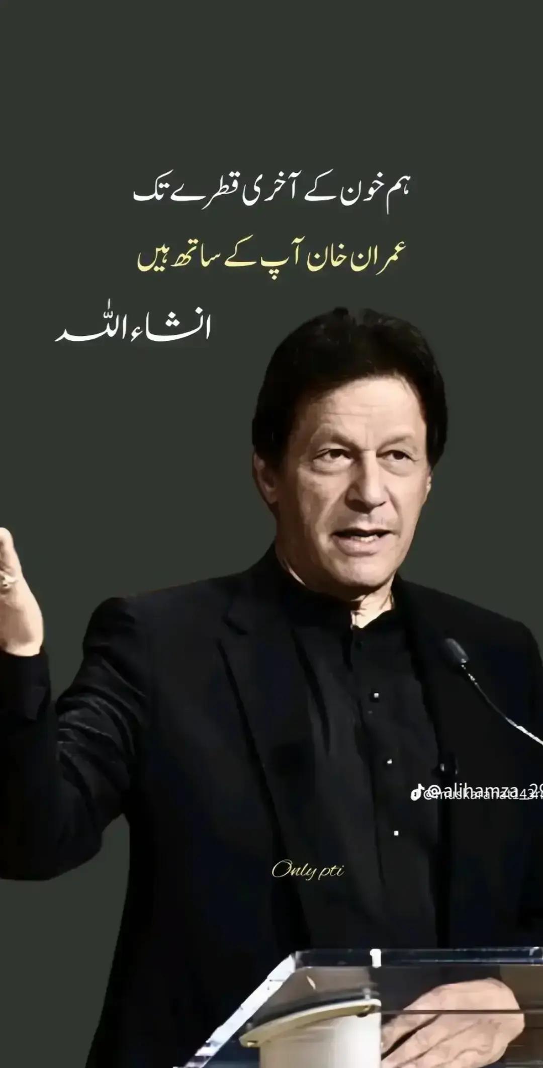 @Kashif bhatti Mandi alla