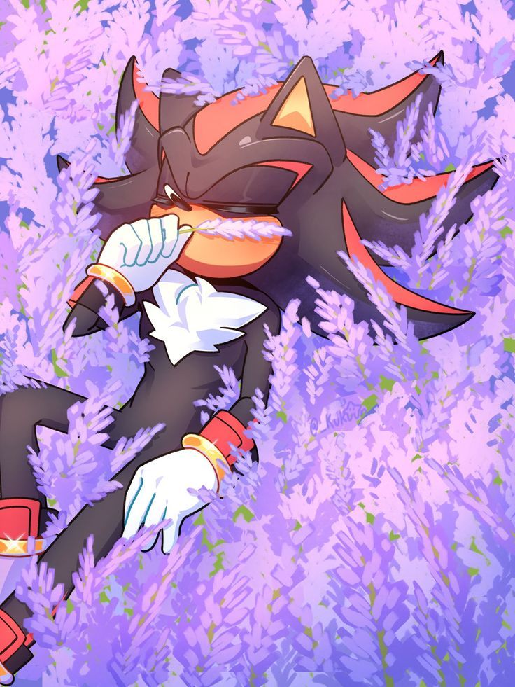 @Z the hedgeWolf 🦔🐺