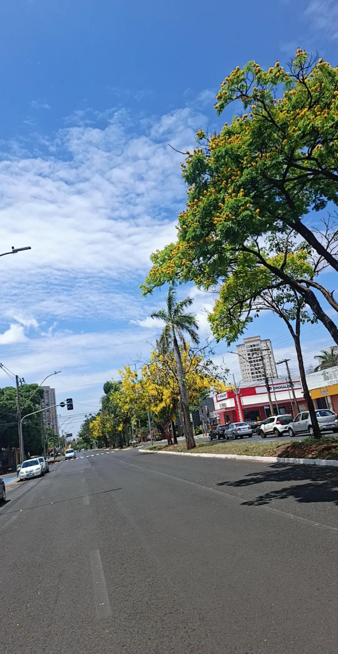 @Dolores Vasconcelos
