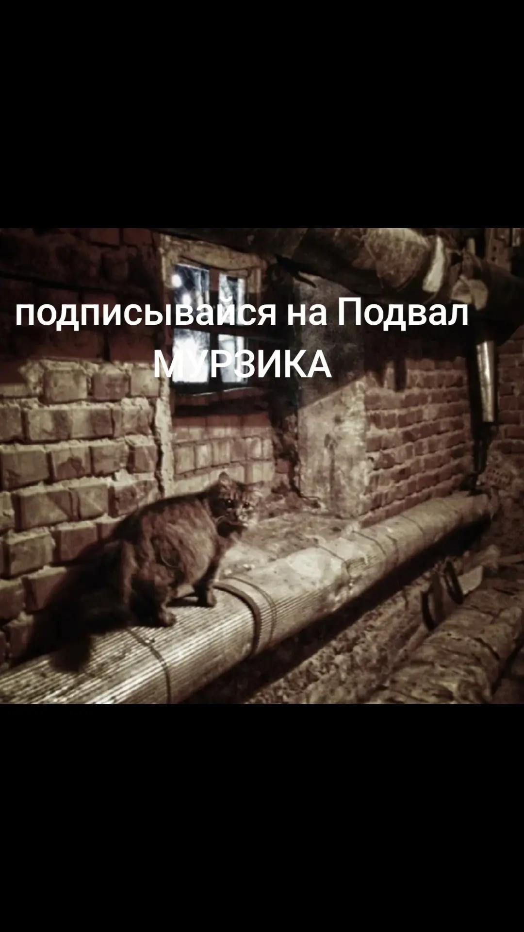 @Подвал МУРЗИКА