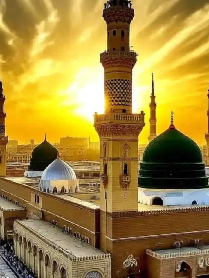 @lajpal23