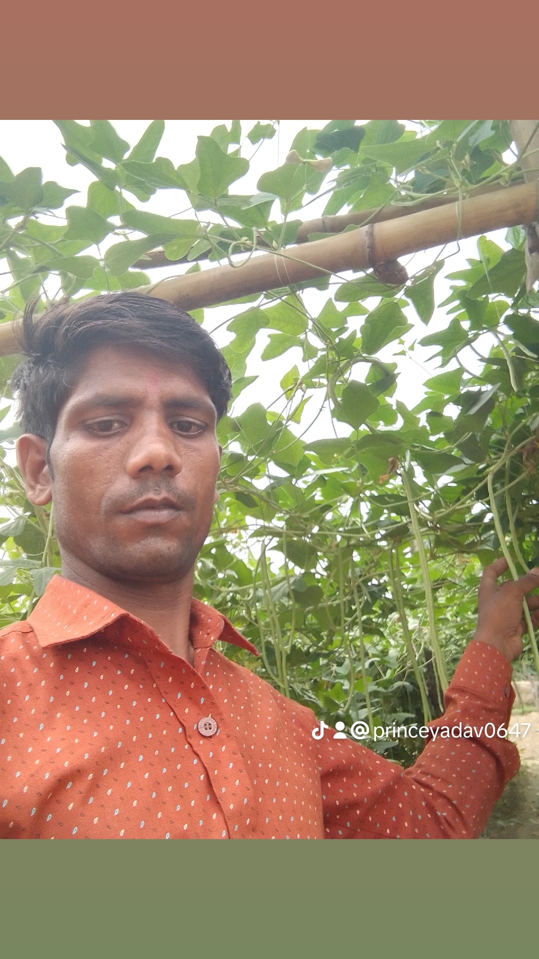 @princeyadav