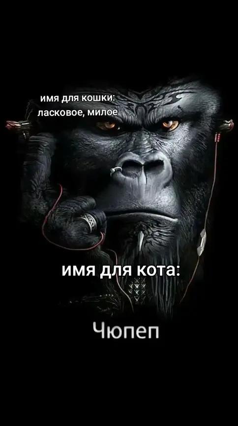 @korhjik@