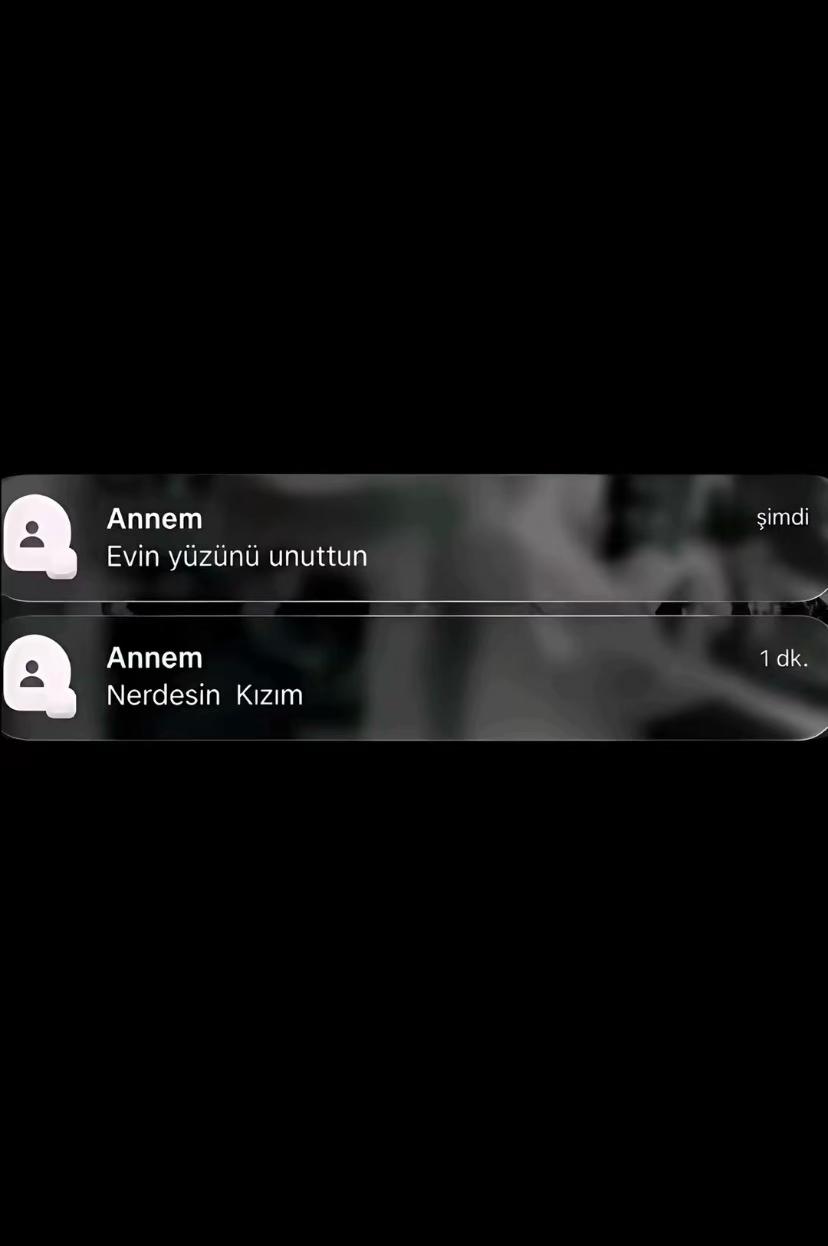 @aysenurd_52