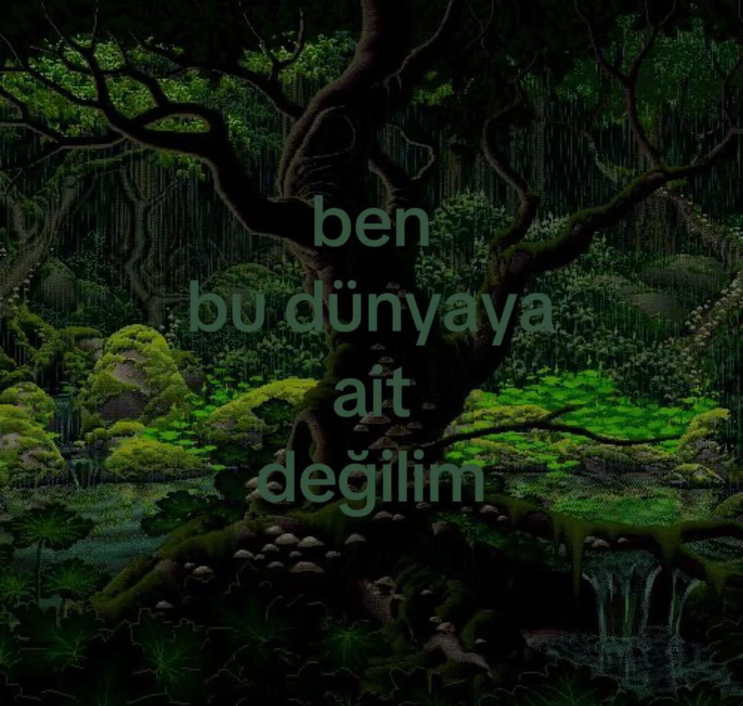 @𝒍𝒊𝒗𝒊𝒏𝒈𝒉𝒂𝒓𝒅