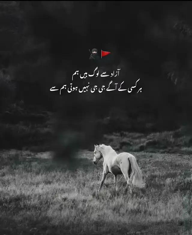 @بٹ صاحب