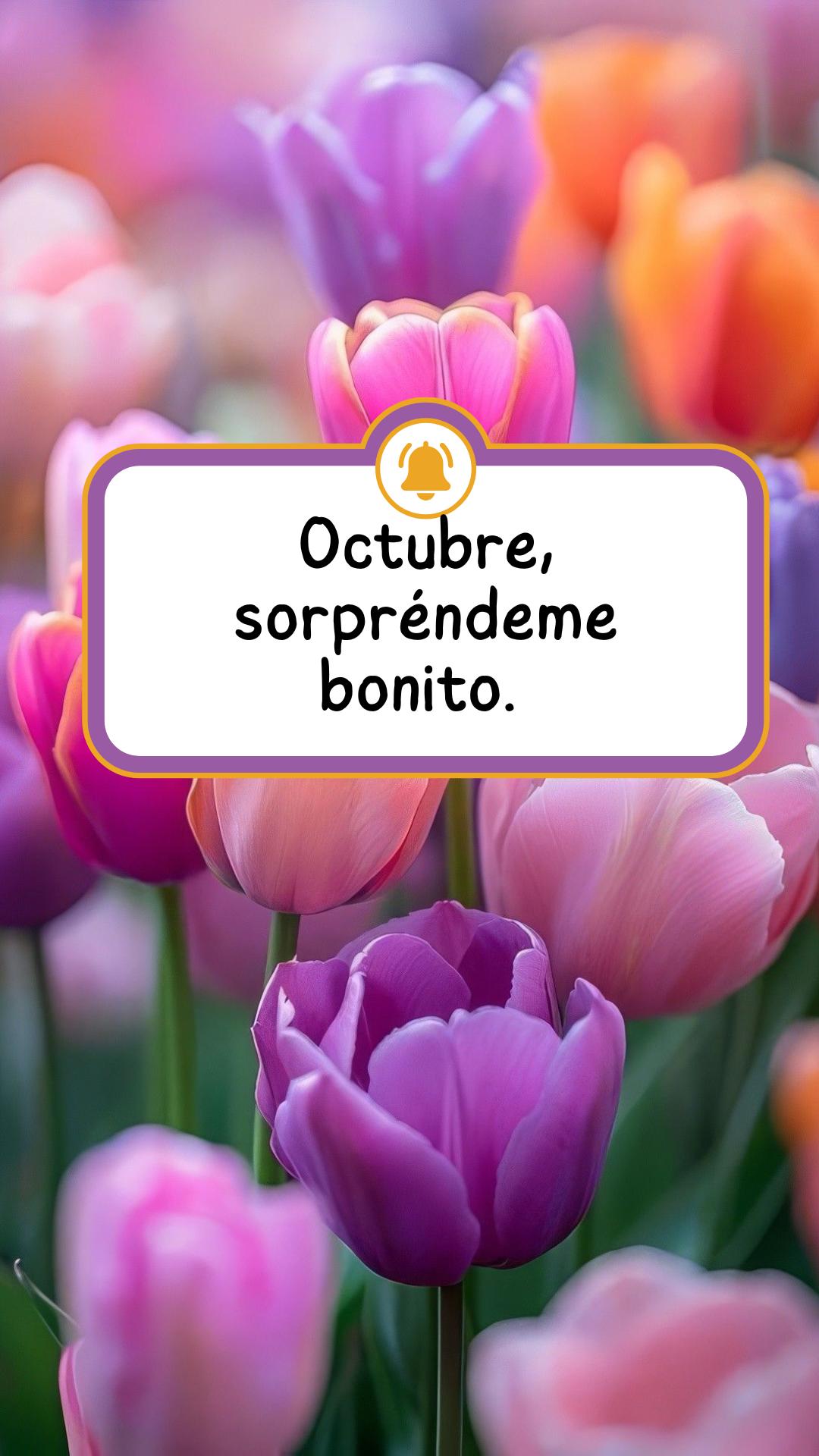 @Leisla | Frases & Reflexiones