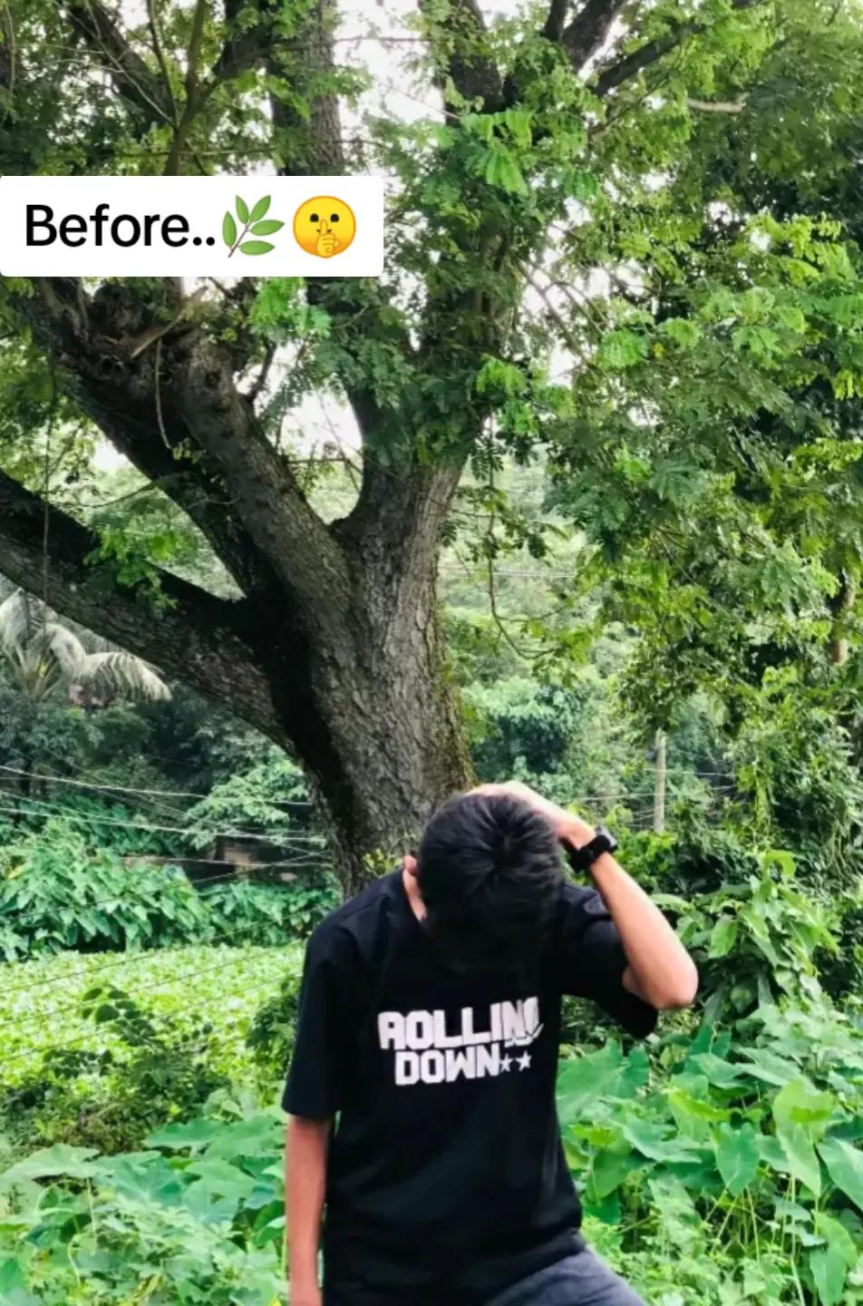 @LR.Editor.✍️🌿
