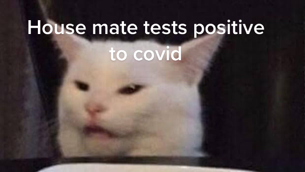 @Teigha 🦋