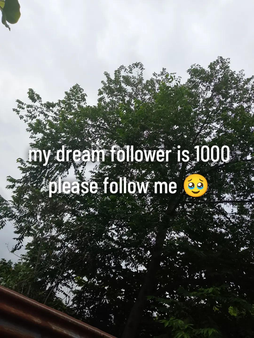 @Light_V2