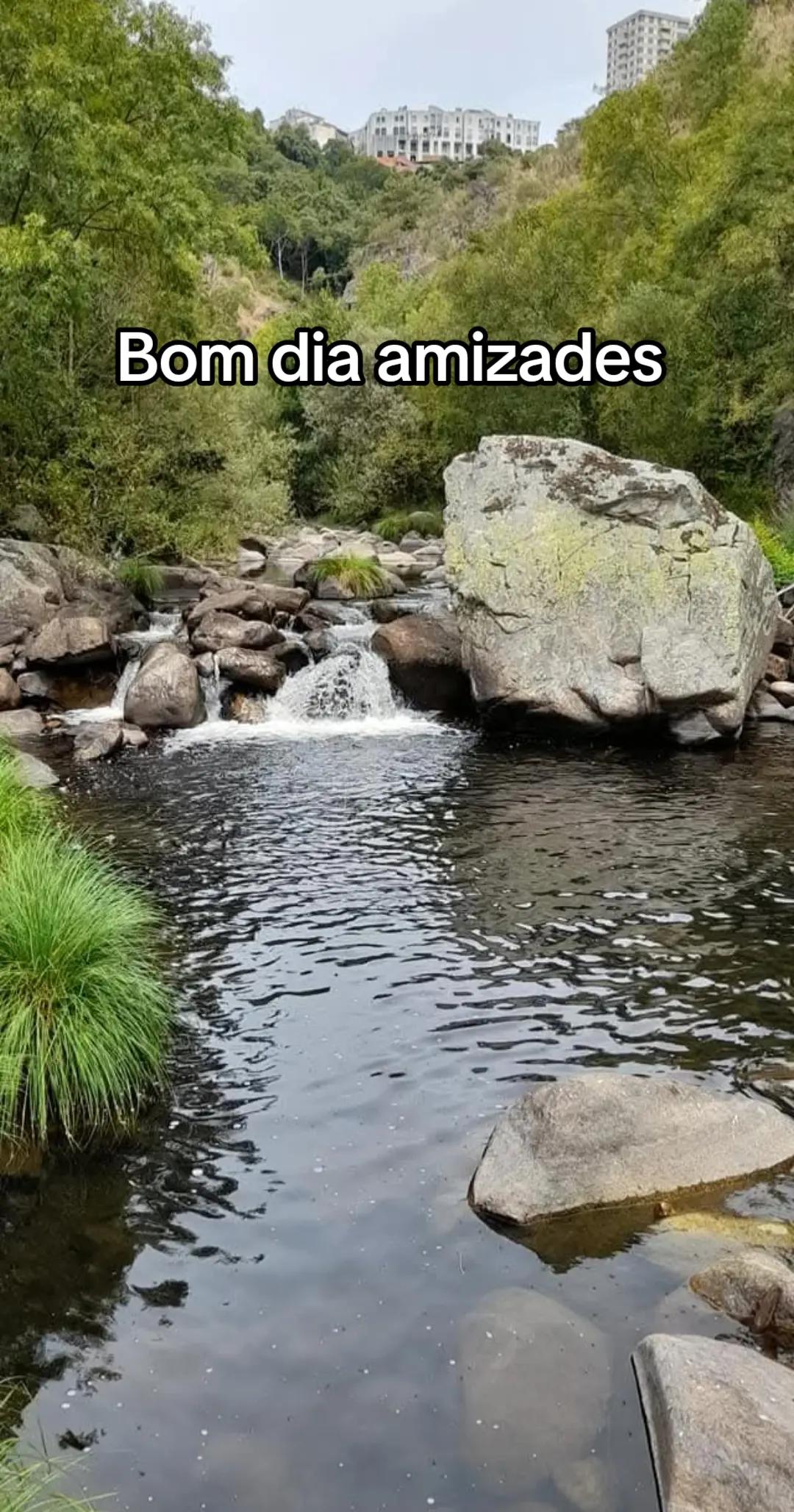 @Carlos Marcelino