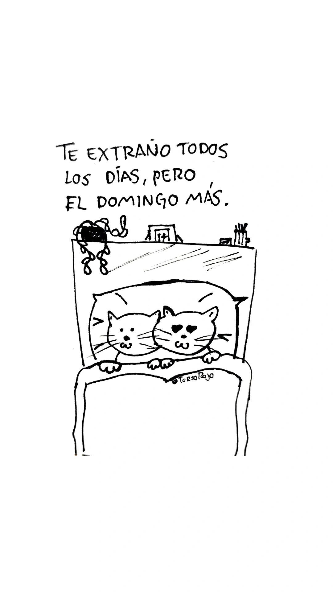 @TorsoRojo