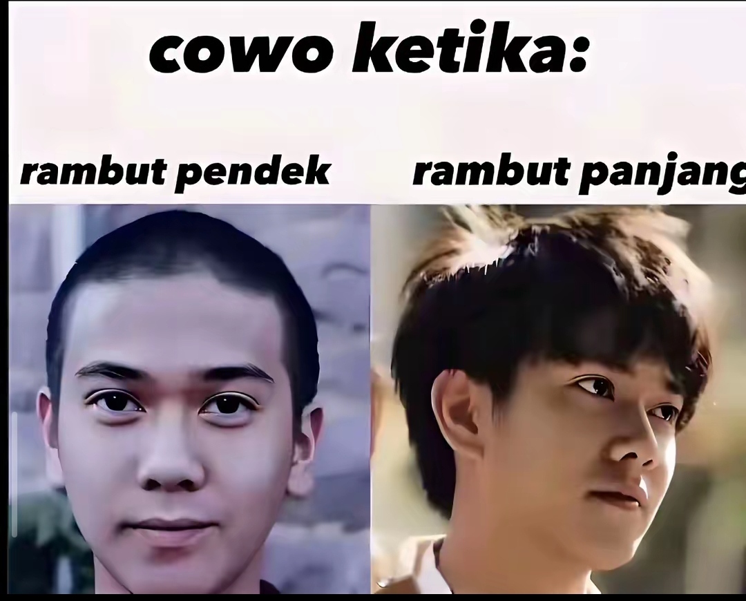 @🪼